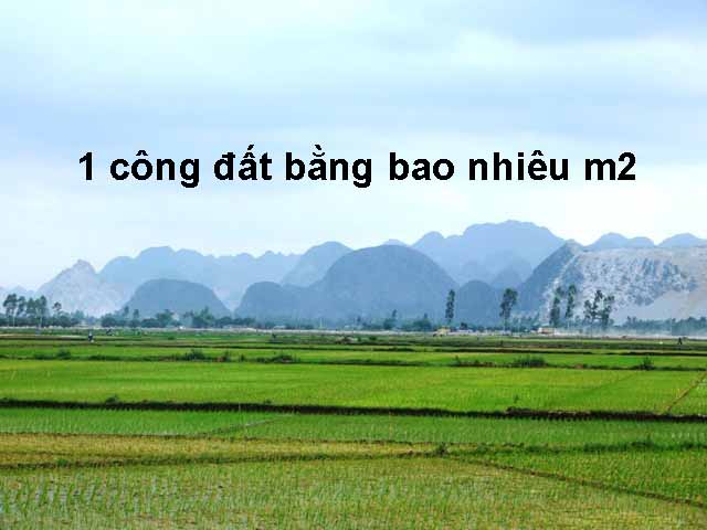 1 công đất bằng bao nhiêu m2