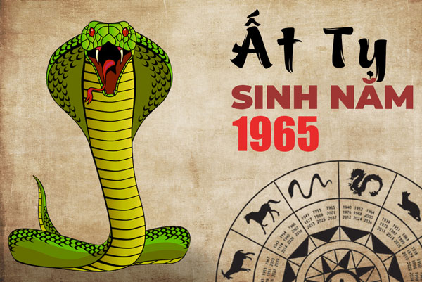 Người sinh năm 1965 là tuổi Ất Tỵ