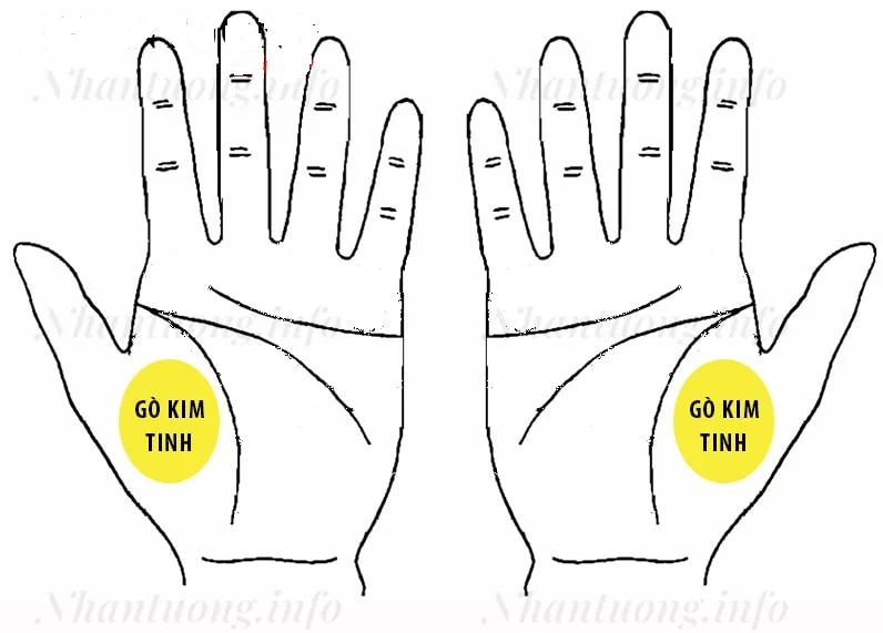 những đường chỉ tay không nên có - đường chỉ tay ở gò kim tinh