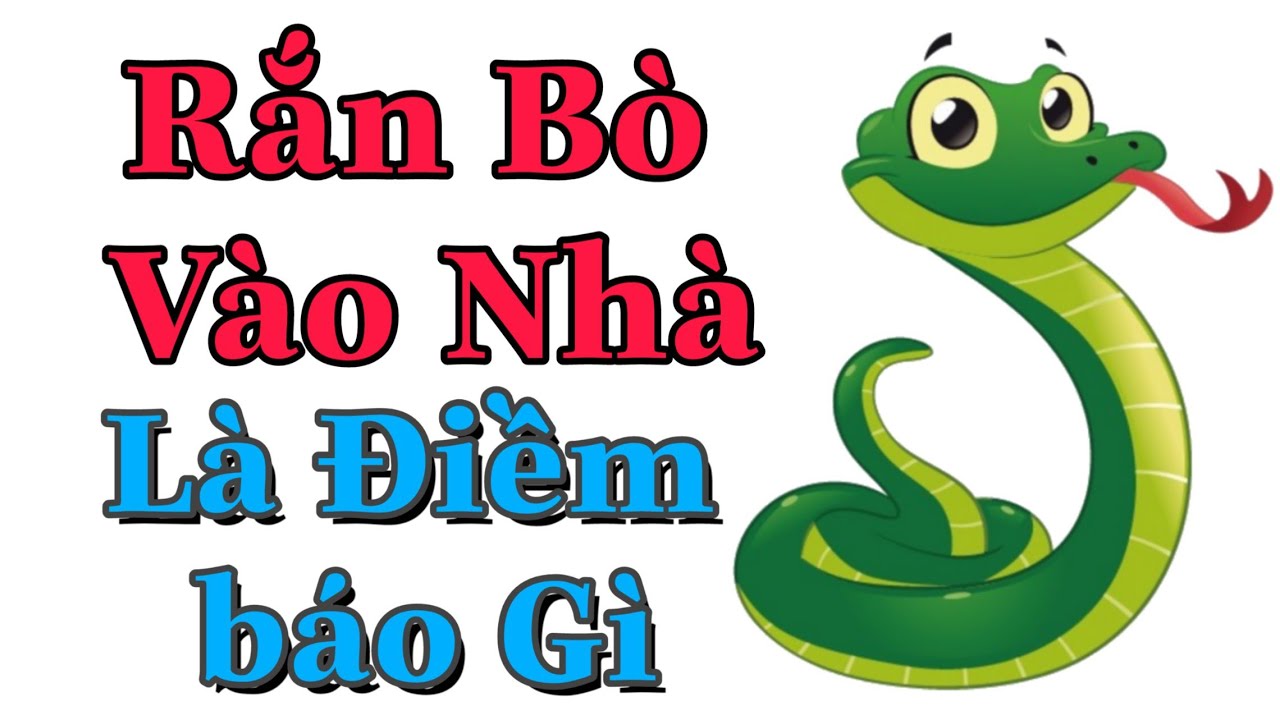 những tâm linh khi rắn bò vào nhà