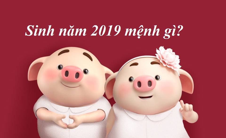 giải mã kỷ hợi năm 2019 mệnh gì hợp màu gì?