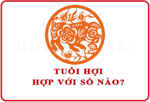 giải mã tuổi kỷ hợi năm 2019 mệnh gì hợp màu gì?